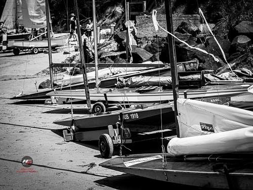 200125_PANA4434_SocialMedia_©_Hartas_Productions