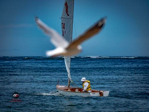 200125_PANA4470_SocialMedia_©_Hartas_Productions